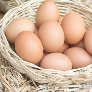 Farm Fresh Eggs from Legacy Arrows Farmstead, available for local pickup in Snow Camp, NC